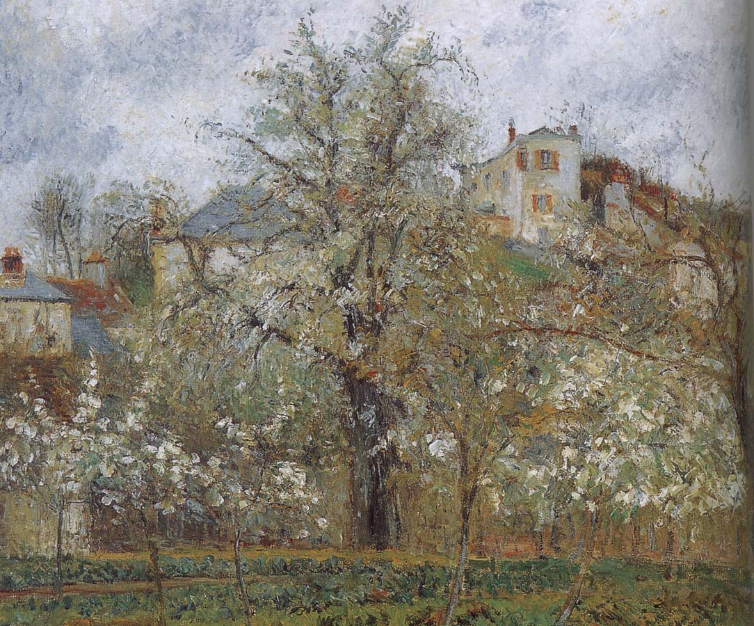 spring flowering gardens and trees